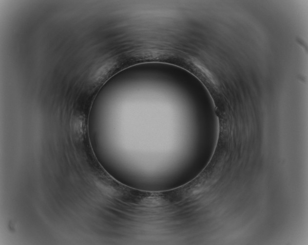 X0000091700119200708311102