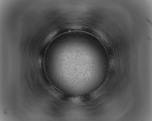 X0000091700120200708311102