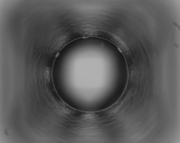 X0000091700121200708311102