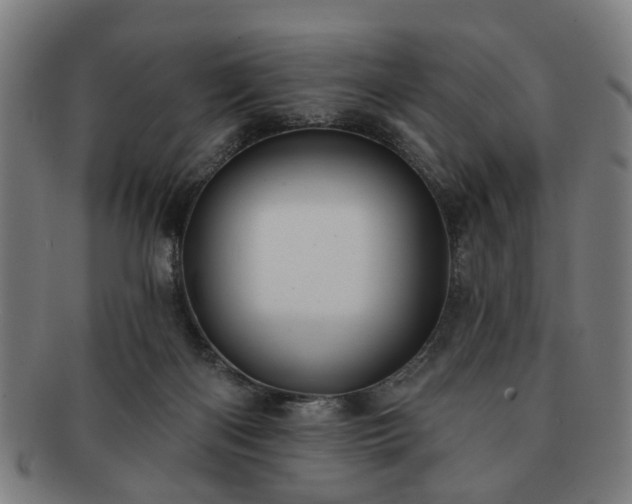 X0000091700122200708311102