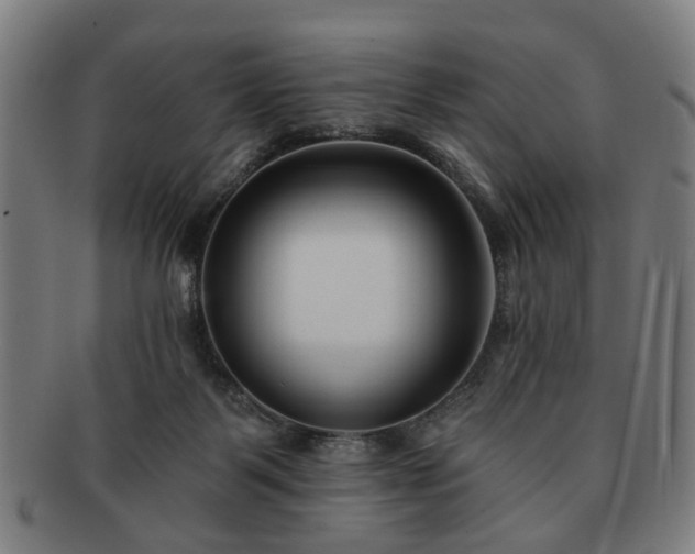 X0000091700123200708311102