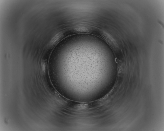 X0000091700124200708311102