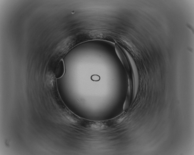 X0000091700125200708311102