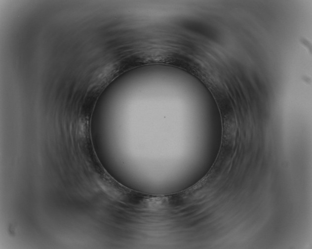 X0000091700126200708311102