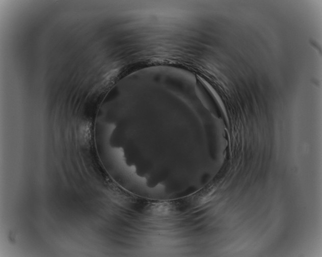 X0000091700127200708311101