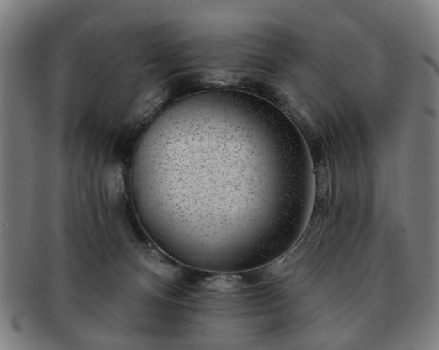 X0000091700128200708311101