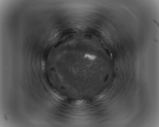 X0000091700130200708311101