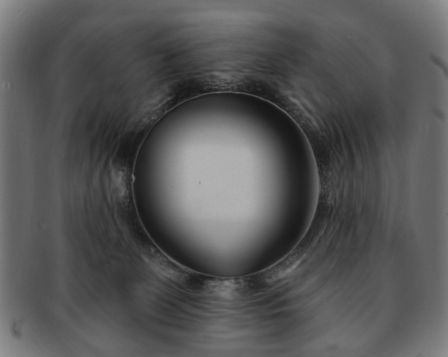 X0000091700131200708311101