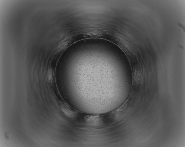 X0000091700132200708311101