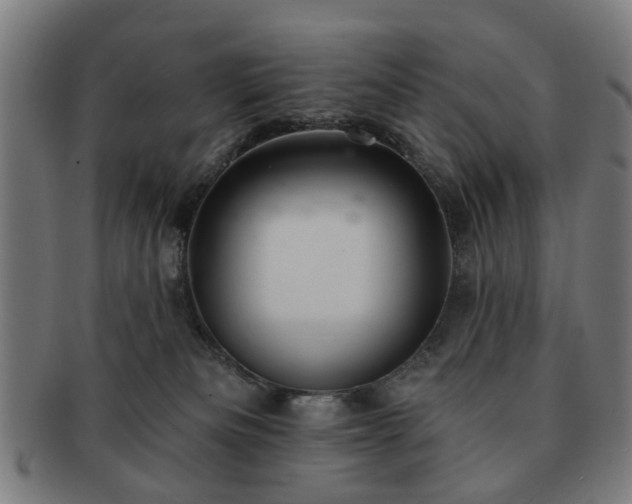X0000091700133200708311101