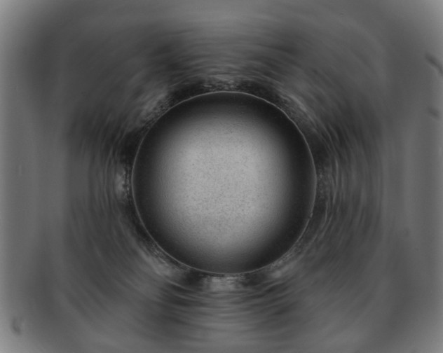 X0000091700134200708311101