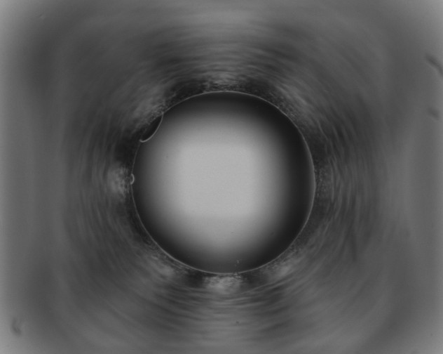 X0000091700135200708311101