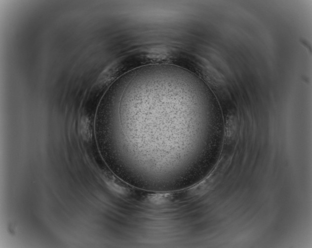 X0000091700136200708311101
