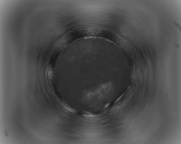 X0000091700137200708311101