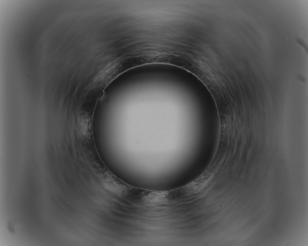 X0000091700138200708311101