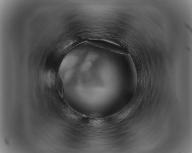 X0000091700139200708311101