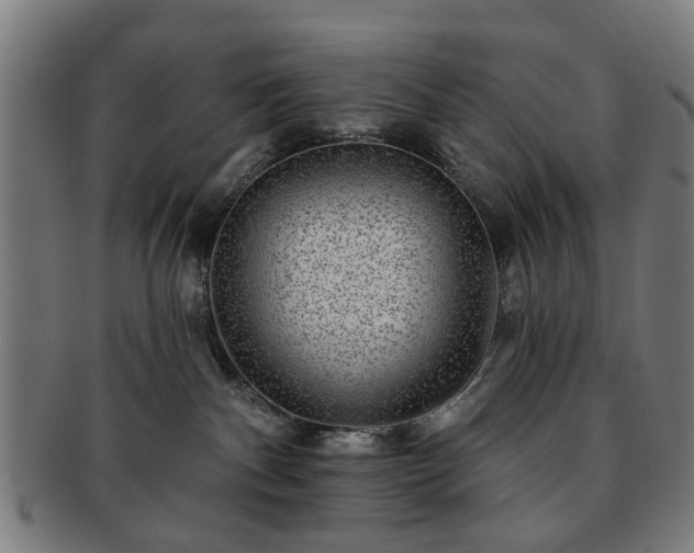 X0000091700140200708311101