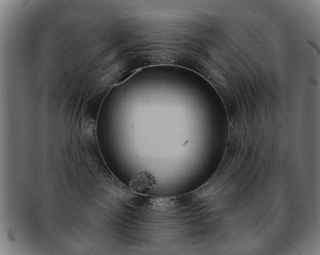 X0000091700141200708311101