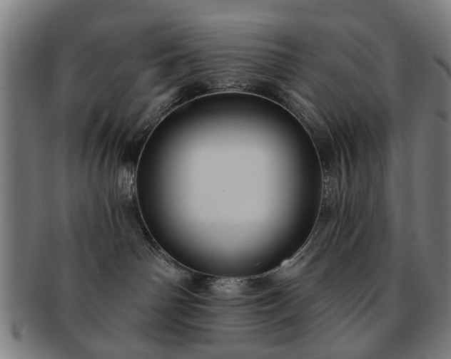 X0000091700142200708311101
