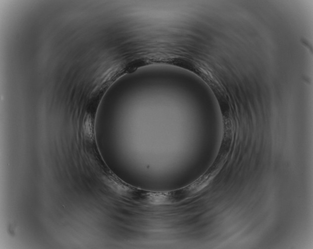 X0000091700143200708311101