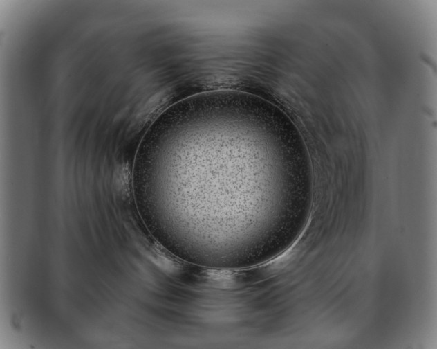 X0000091700144200708311101