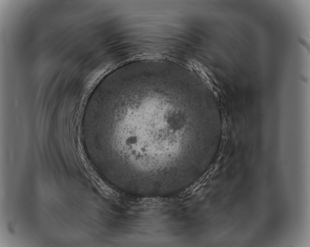 X0000091700145200708311101