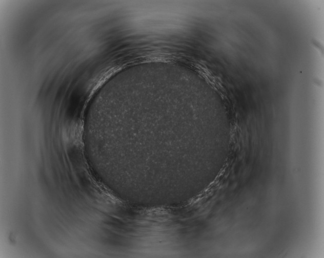 X0000091700146200708311101