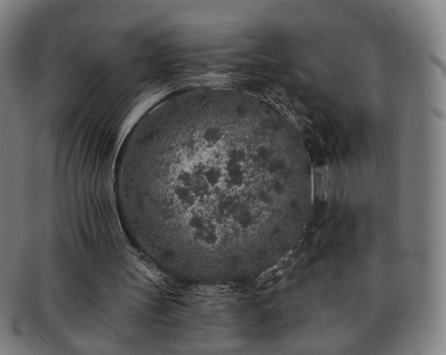 X0000091700147200708311101