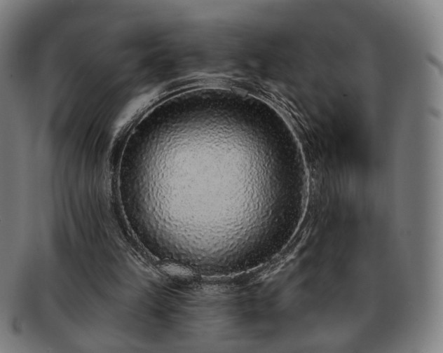 X0000091700149200708311101