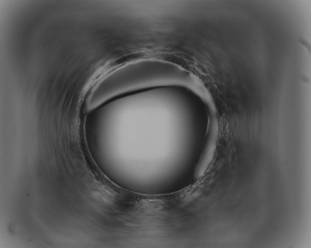 X0000091700150200708311101