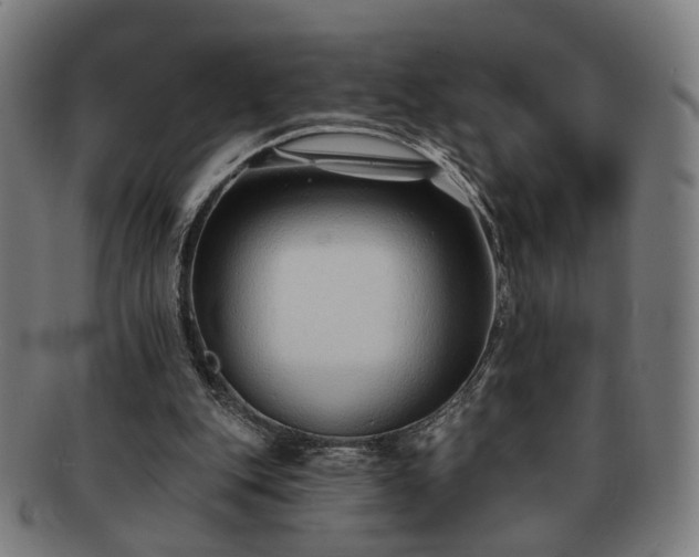 X0000091700151200708311101