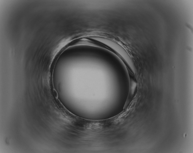 X0000091700152200708311101