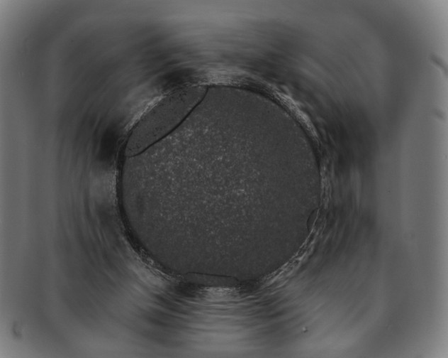 X0000091700154200708311101