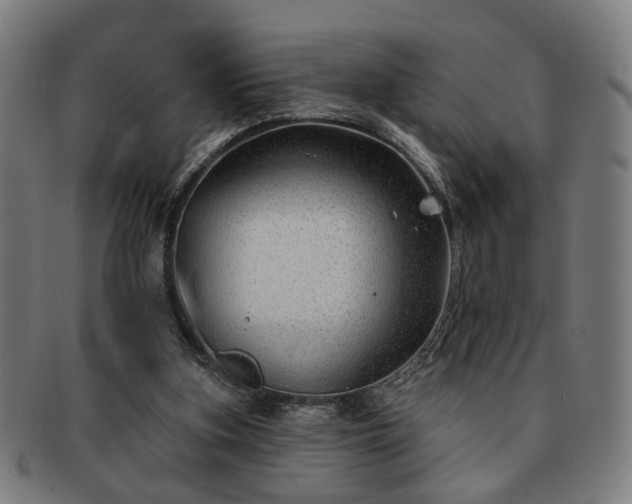 X0000091700155200708311101