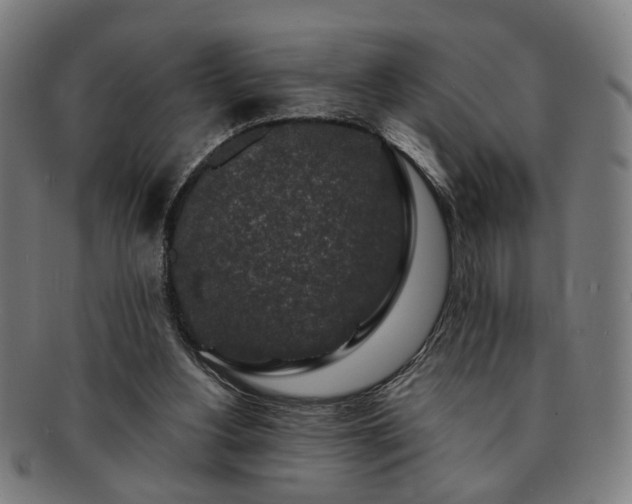 X0000091700156200708311101
