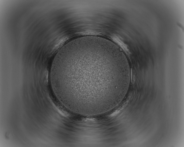 X0000091700157200708311101