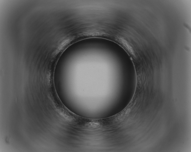 X0000091700159200708311101