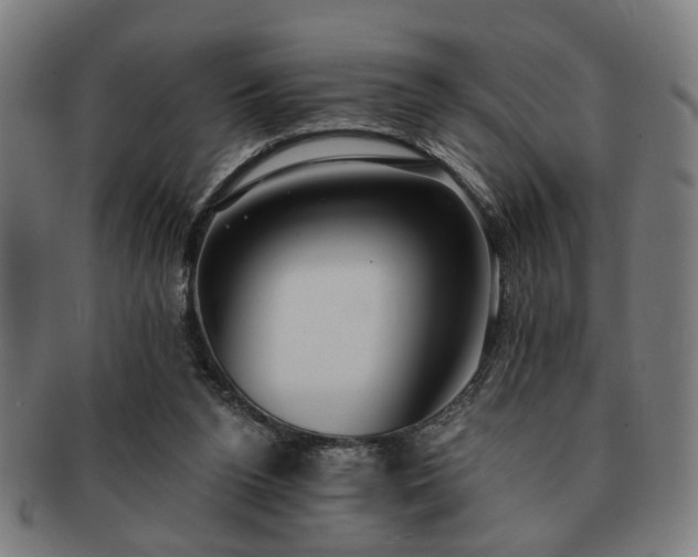 X0000091700160200708311101