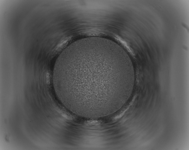 X0000091700161200708311101