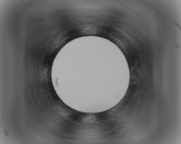X0000091700162200708311101
