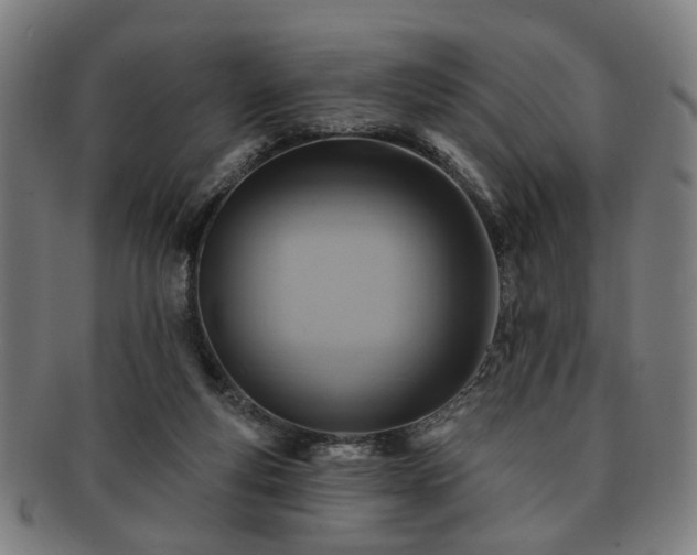 X0000091700163200708311101