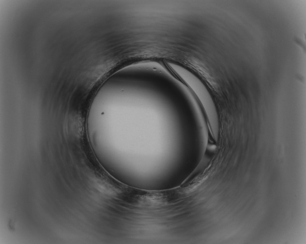 X0000091700164200708311101