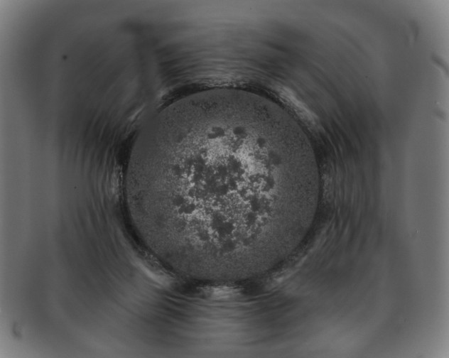 X0000091700165200708311101