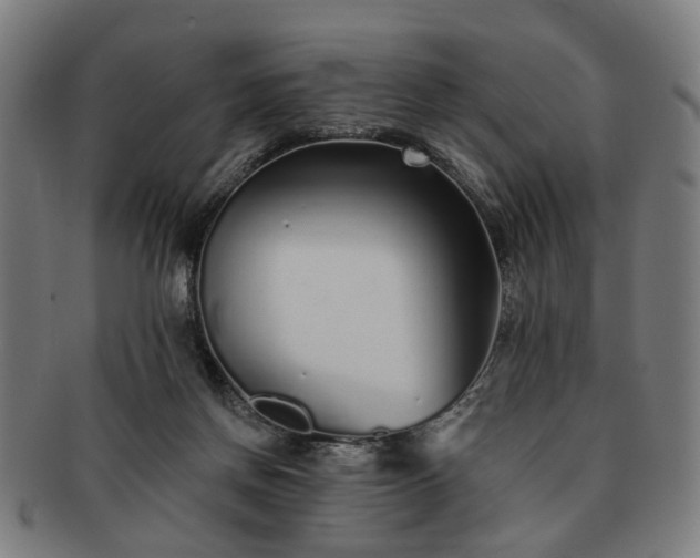 X0000091700166200708311101