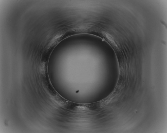 X0000091700167200708311101