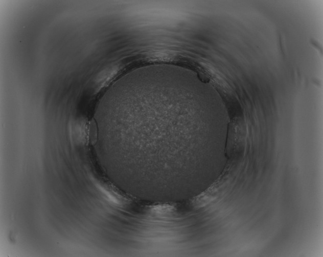 X0000091700168200708311101