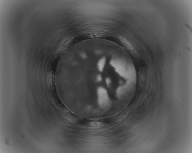 X0000091700169200708311101