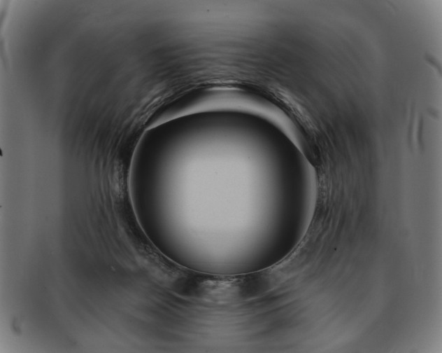 X0000091700170200708311101