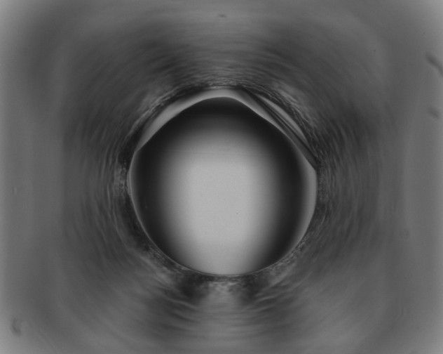 X0000091700172200708311101