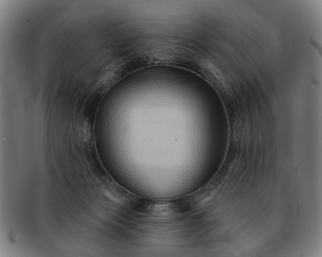 X0000091700173200708311101